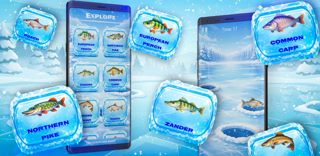 Fish Collection Banner